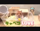大好きなキャベツを沢山あげたら反応が・・・