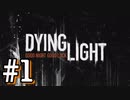 【DYING LIGHT】ゾンビ蔓延る街で観光気分のバカ三人のダイイングライト実況#1【実況プレイ】