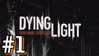 【DYING LIGHT】ゾンビ蔓延る街で観光気分のバカ三人のダイイングライト実況#1【実況プレイ】