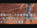 青森のカシス生産団体、最低１日３時間手伝ってくれる収穫ボランティアを募集／カリブ海で長さ２ｃｍの巨大細菌を発見「人間にだと富士山より背の高い人」／東大生の89パーセントが間違えた推定問題、マジでむずい