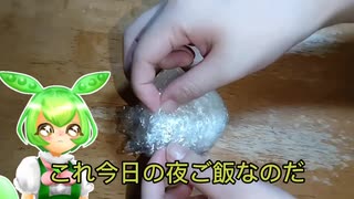 ねこの飯