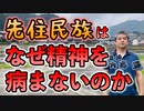 先住民にはなぜ精神病がないのか #内海聡 #うつみん 【世界一嫌われ医者】