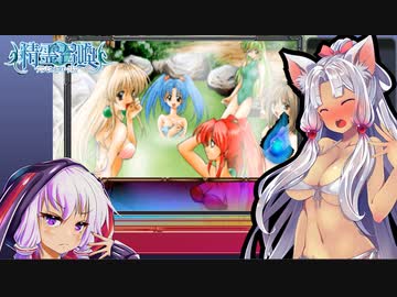 精霊召喚～プリンセス・オブ・ダークネス～　RTA　2時間20分38秒　4/7