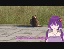 まだねない