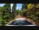 【酷道】国道303号八草峠旧道走行映像　その1