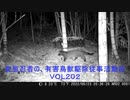 変態忍者の、有害鳥獣駆除従事活動記・その２０２
