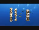 ウミガメ×2コラボ・慶良間諸島/黒島ダイビング