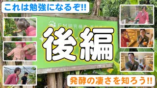 沖縄サンシャインファーム【後編】「コーヒー豆から家庭菜園や結界。そして効果的な使い方」