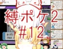 (ポケモンど鬼畜縛り)縛り好きのための、ポケモンルビーゆっくり実況解説プレイ2 part12