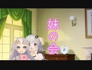 【ソフトウェアトーク劇場】妹の会