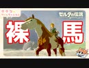 ゼルダの伝説 ブレス オブ ザ ワイルド  完全初見実況プレイ #8