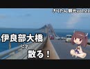 きりたん豪遊旅行21【ウミガメと泳ぐ宮古島③】