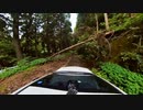 【酷道】国道303号八草峠旧道走行映像　その2