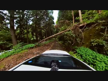 【酷道】国道303号八草峠旧道走行映像　その2