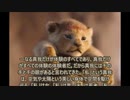ヨーガ・ヴァーシシュタ５－１９