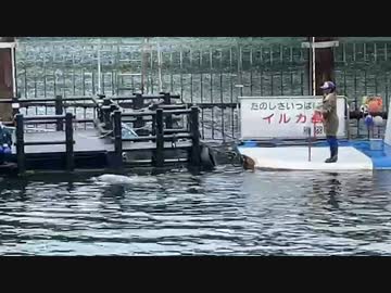 【コメなし】七原くん2022年6月26日 クリーニング旅行イン三重県1①