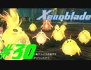 【実況】限りなく初見に近い『ゼノブレイドDE』を全力で楽しむ　#30