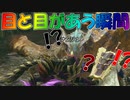 【MHRise】左右のまったり狩猟記 #15【実況プレイ】