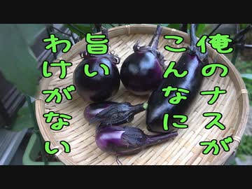 俺のナスがこんなに旨いわけがない【長火鉢とおっさん264】