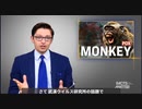 【陰謀論ガ―発狂動画】 サル痘が発生する数カ月前に、武漢研究所で行われていた危険な研究 【本編】