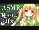 【ASMR/3dio】癒やしの耳かき睡眠導入【スライム/炭酸/梵天/囁き/Ear cleaning/Deep Sleep/Whisper/Vtuber】