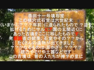 チョイと童心に返ってヤッホの森（亀岩）へ