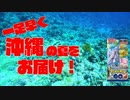 【ポケカ開封】Part42_沖縄の夏をお届け開封！【ゆっくり実況】