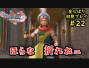【DRAGON QUEST Ⅺ】人生初のドラクエを全部しばってプレイするPart22【協力実況】