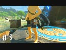 【ゆっくり実況】のんびり息抜きマスターモード その3【ゼルダの伝説BotW】
