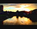 【初投稿】猫  DISH// 歌ってみた