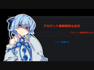 尿結石葵ちゃんの1周年