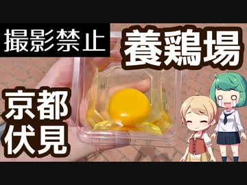 京都 伏見 某養鶏場の直売卵