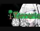 さ、アルんリやよあだア【テラリアアアアアアリアルさんだよ。今日はテラリアっていうゲームをやっていくんだけど、全然よくわかんないし敵はキモいんだけど、面白いねこのゲーム。でもこんなことしてる最中も子供】