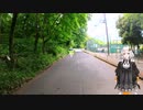 紲星あかりと行く狭山湖・狭山丘陵周回コース 6回目 最終回