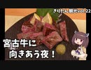 きりたん豪遊旅行22【ウミガメと泳ぐ宮古島④】