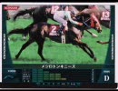 【HORSERIDERS】アホの子が乗るトンキニーズ【伝説その３】