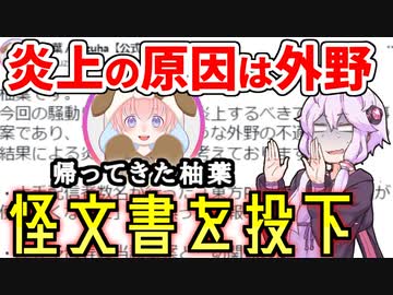 炎上したのは外野が悪い 帰ってきた柚葉に反省の色無し