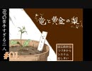 竜と黄金の梨 #1【女2人実況】