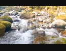 【渓流釣り】桃沢川で渓流ルアー【静岡・狩野川水系】