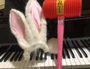 Rabi-Ribi piano title(DLC) 【弾いてみた】