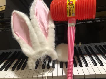 Rabi-Ribi piano title(DLC) 【弾いてみた】