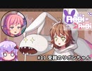 【Rabi-Ribi】#11 受難のリボンちゃん【VOICEROID実況】