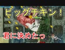 【実況】新生活と国作り！【ルーンファクトリー4 SP】part37