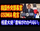 【韓国の反応】 韓国外相 「日本と GSOMIA 正常化したい」 発言に対する 日本大使の 反応がコチラ