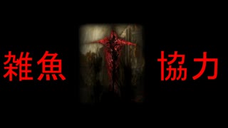 【エルデンリング】雑魚が協力(^00^)【20220625イベント動画】