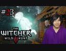 魔法剣士アキヒト【ウィッチャー3 / THE WITCHER 3 WILD HUNT】実況プレイ Part23