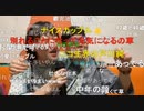 【ニンポー】【みうち】想い出は いつも キレイだけど(^^♪　からの～　スクショチャンスがｷﾀ━━━━(ﾟ∀ﾟ)━━━━!!