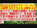 【2022年06月28日：リチャード・コシミズ Internet 講演（ 改良版 ）】