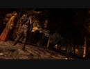 【Skyrim】魔女とスカイシャードの旅 Vol.３９【ゆっくり実況】