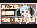【解説動画】ハムスターは種類ごとに性格や育て方が変わる？【YUMU】